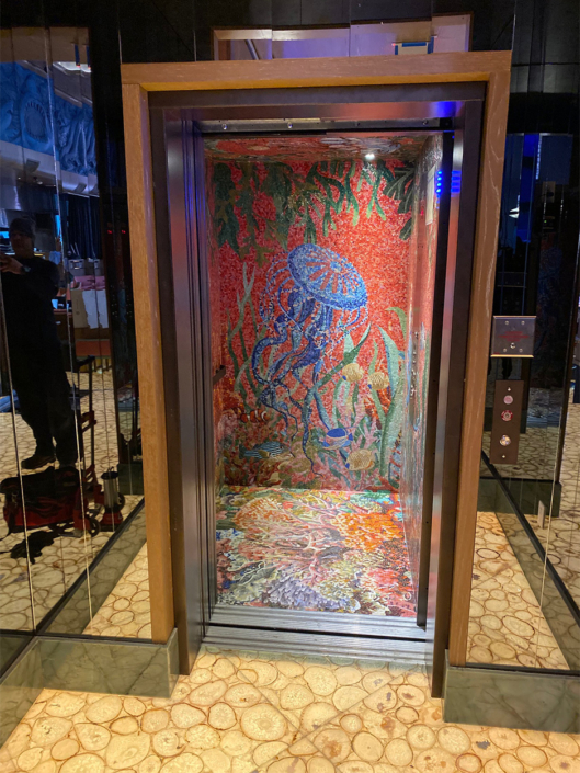 Mosaic texture of jellyfish in lula elevator